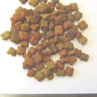 VCC-Cat-Stars